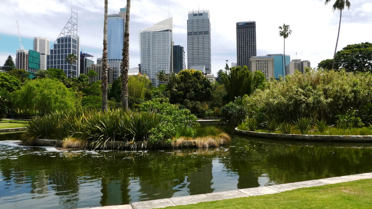 Фото: harryandrowenaphotos, visualhunt.com