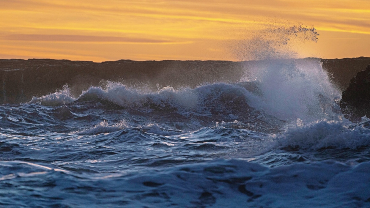 Фото: Intricate Explorer, unsplash.com