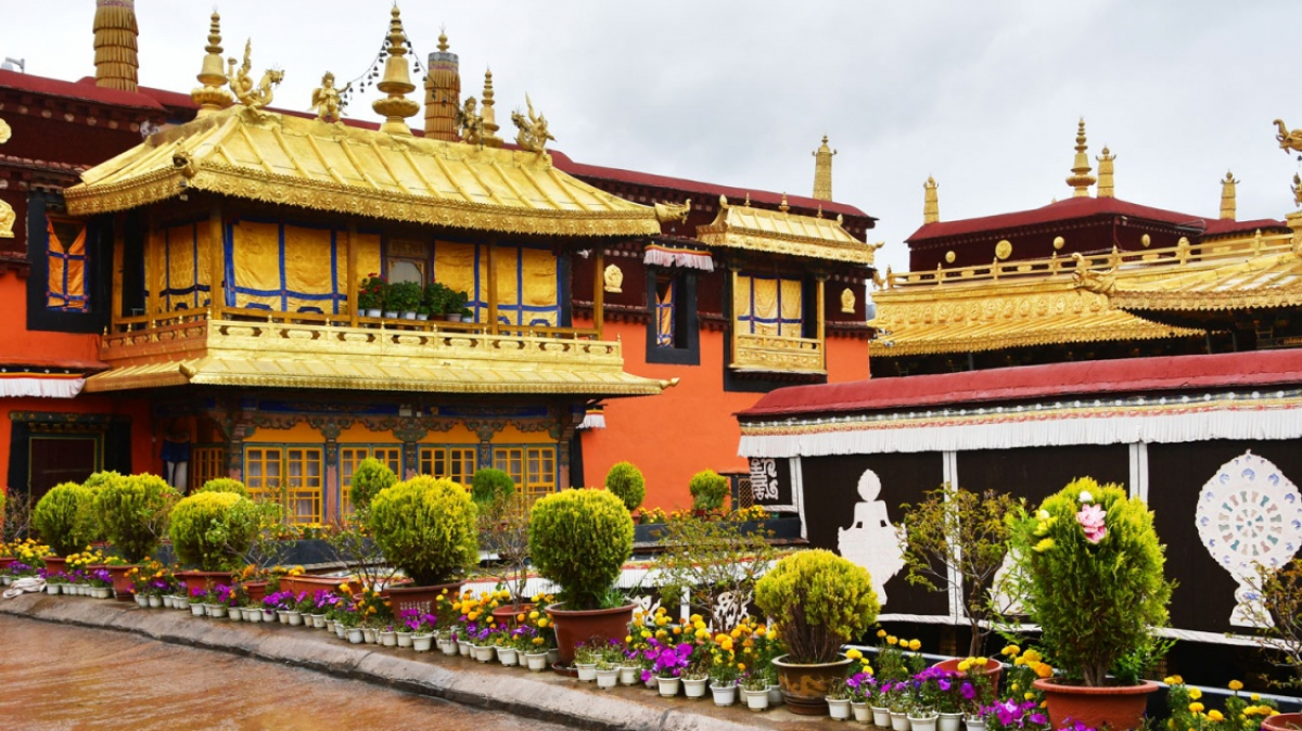 Фото: Ovchinnikova Irina on shutterstock