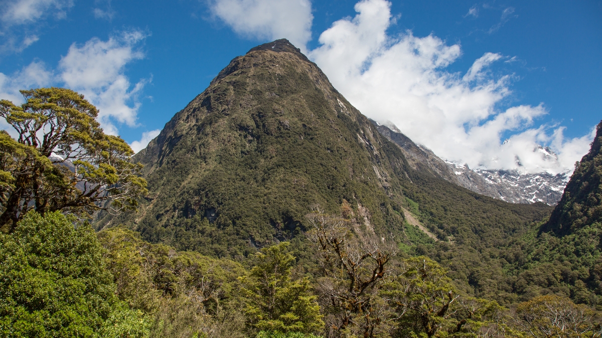Фото нашей Странницы Татьяны Руновой