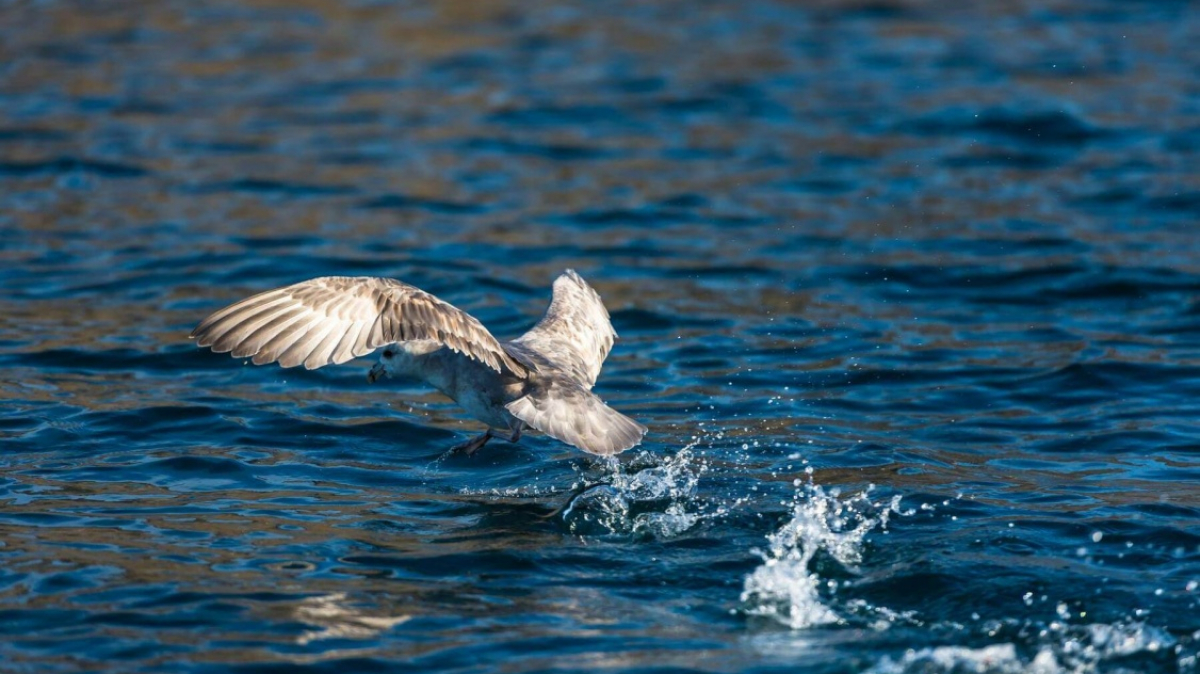 Фото из архива Клуба