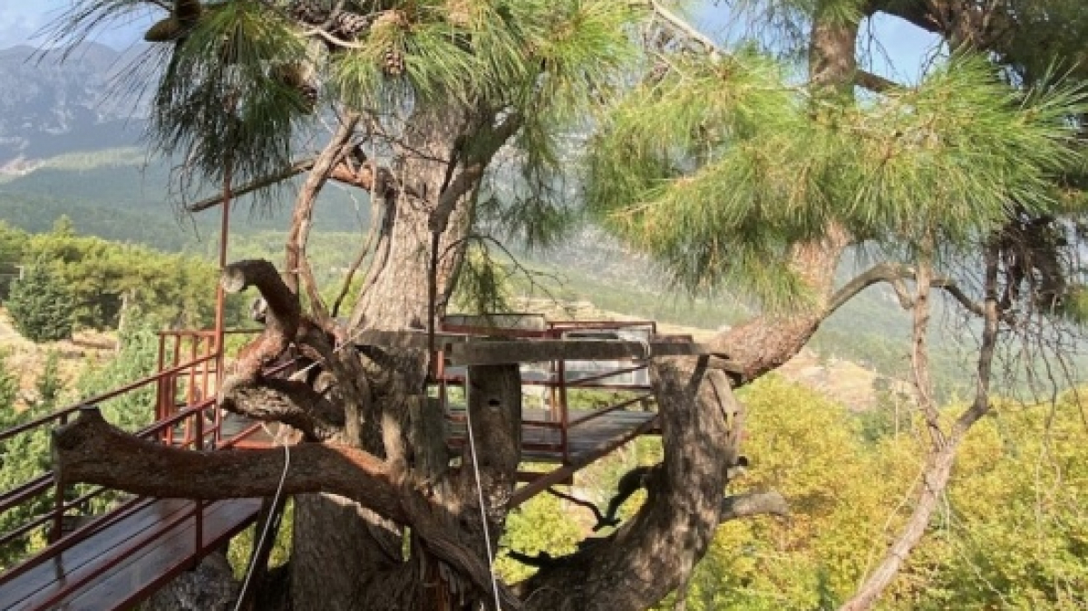 Фото нашего гида Артёма Тарабукина