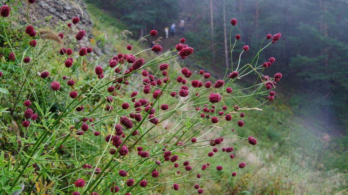 Фото нашего Странника Владимира Гущина