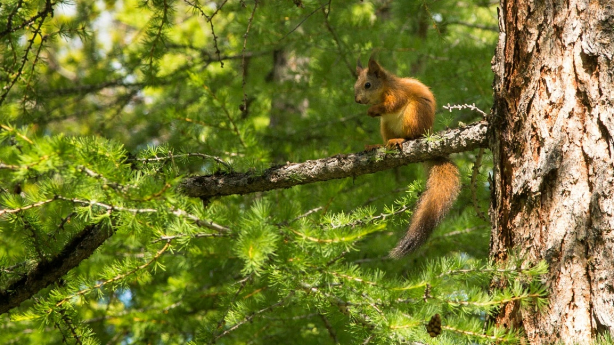 Фото нашего Странника Павла Кузьмина