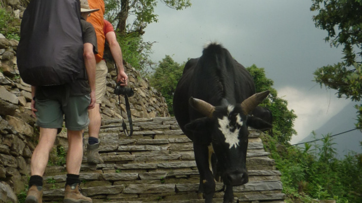 Фото: Felix Dance on Visualhunt