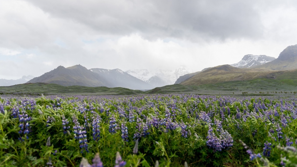 Фото: Ricky Kharawala, unsplash.com