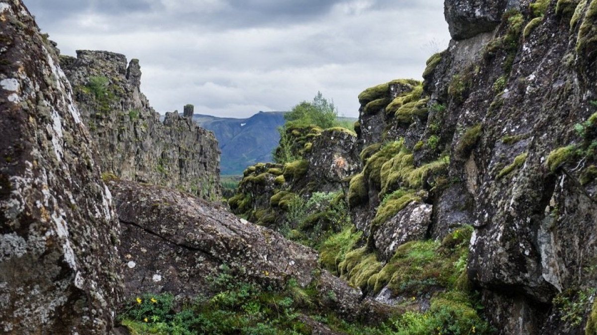 Фото из архива Клуба