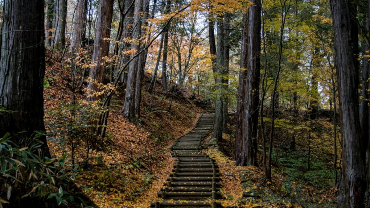 Фото: Caleb Jack, Unsplash