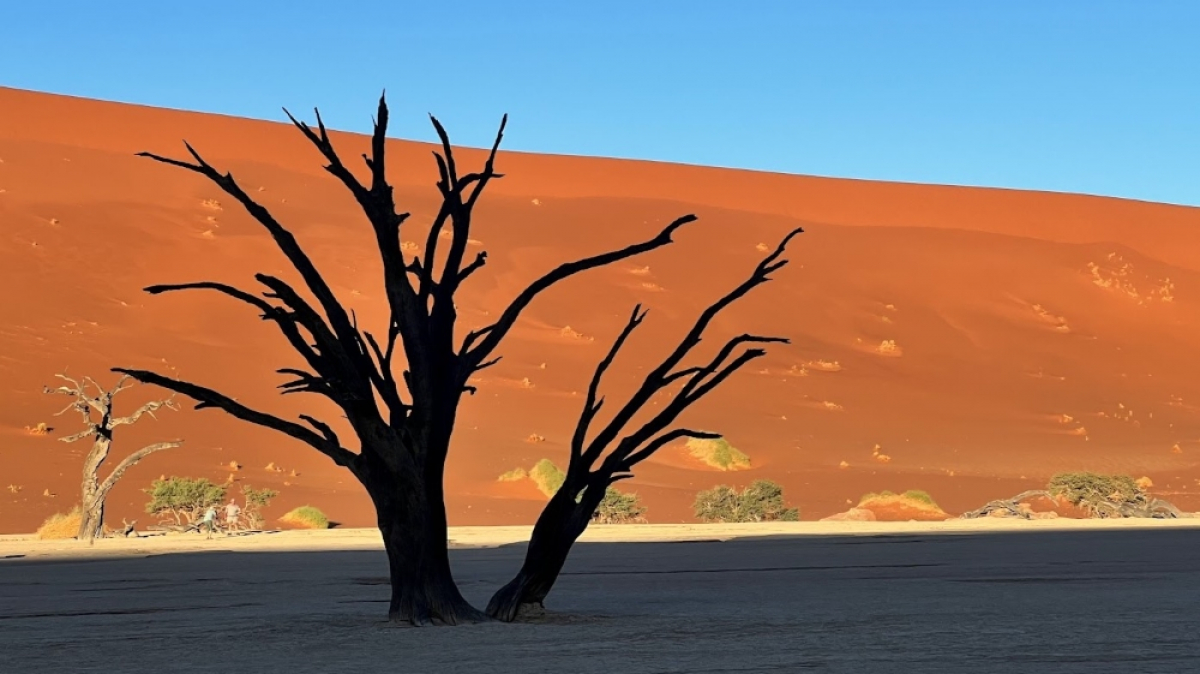 Долина Смерти. Фото: наш гид Алексей Шорец