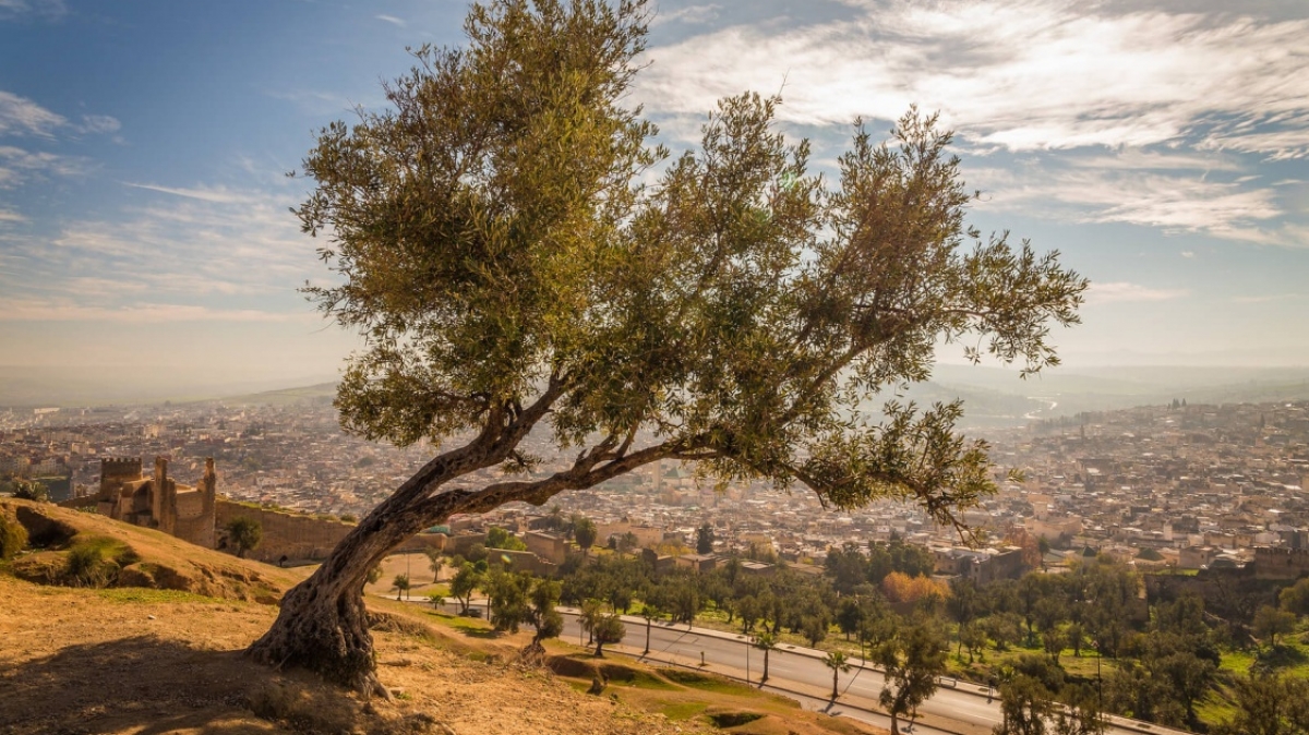 Фото: Max Dawncat, visualhunt.com