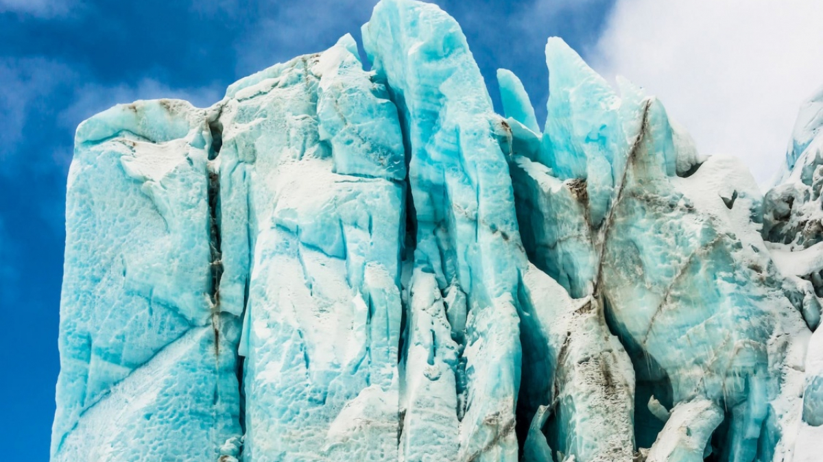 Фото: Сергей Доля