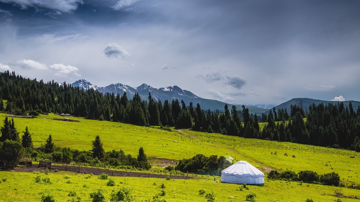 Фото: Михаил Самарин