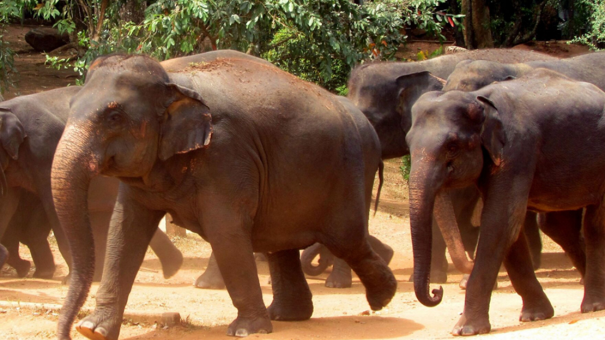 Фото нашего гида Лики Майстровой