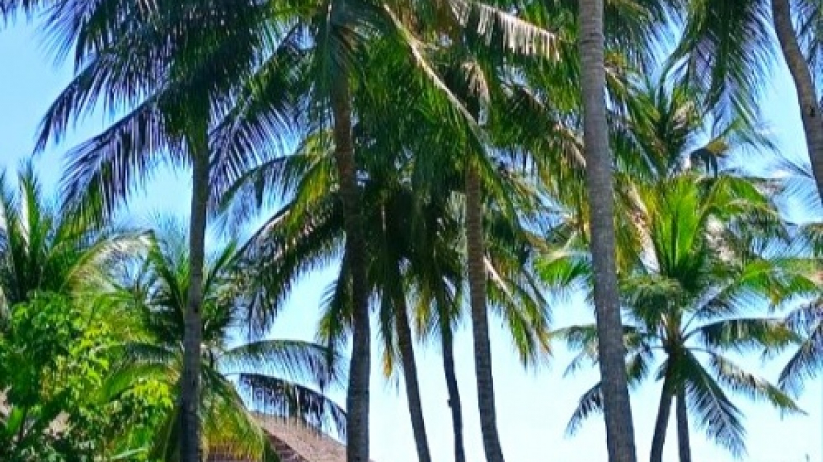 Фото нашей Странницы Светланы Жолобовой