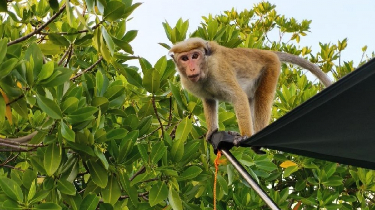 Фото нашей Странницы Калашниковой Галины