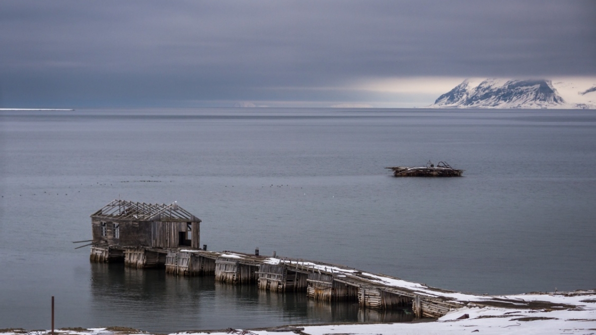 Фото: Сергей Доля