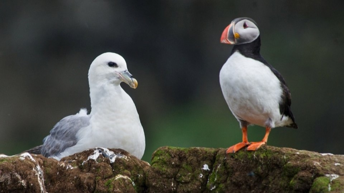 Фото из архива Клуба