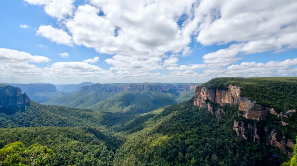 Фото: Jacques Bopp, unsplash.com