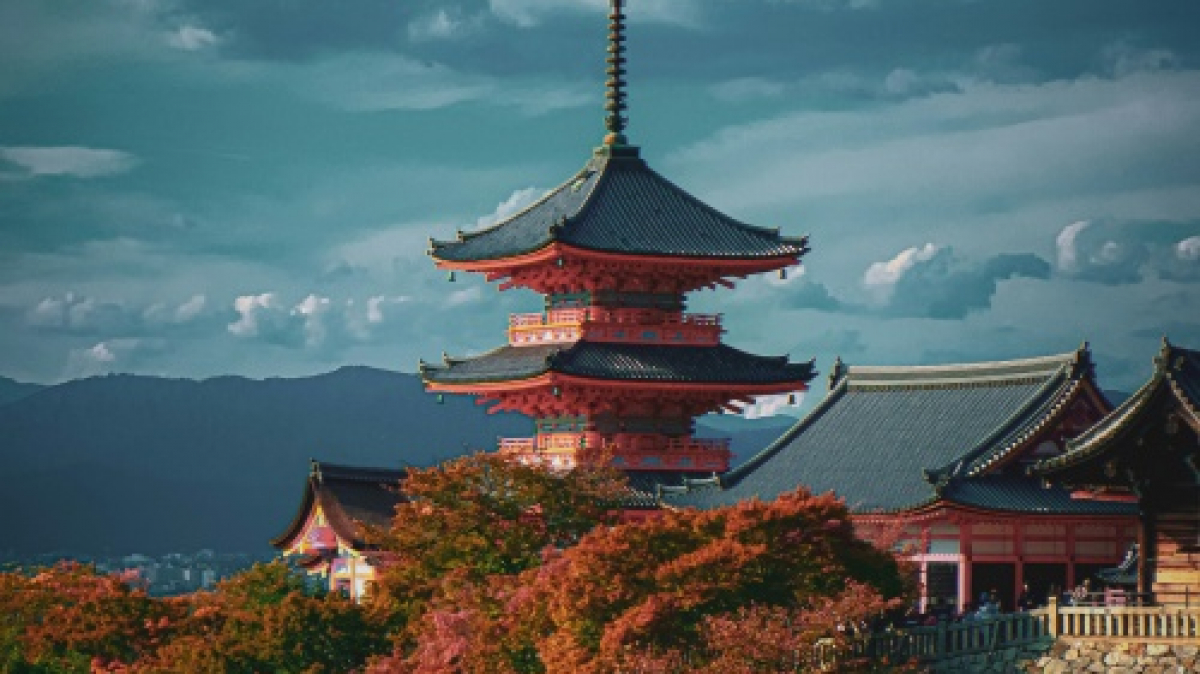 Фото Oh Taeyeon, unsplash.com