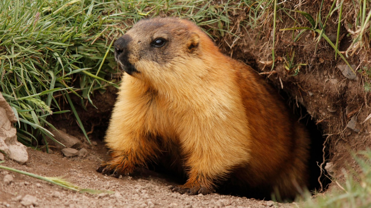 Фото из архива Клуба