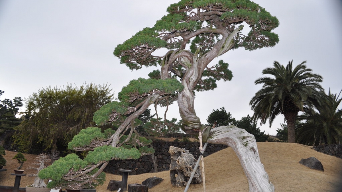 Источник фото: visualhunt.com