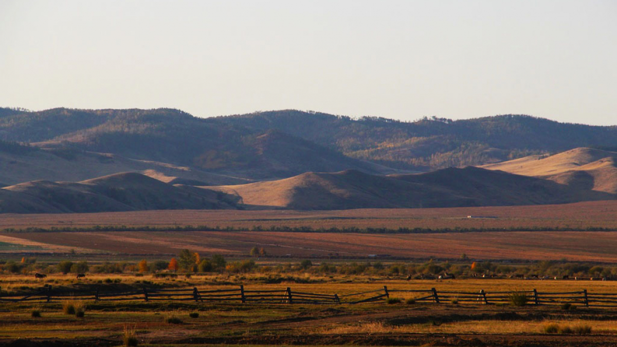 Фото Вероники Кузенковой