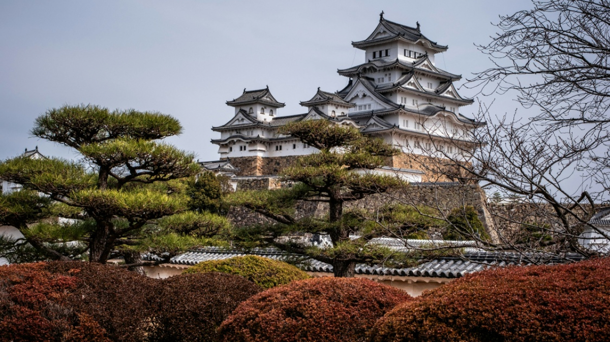 Фото Sue Winston, unsplash.com