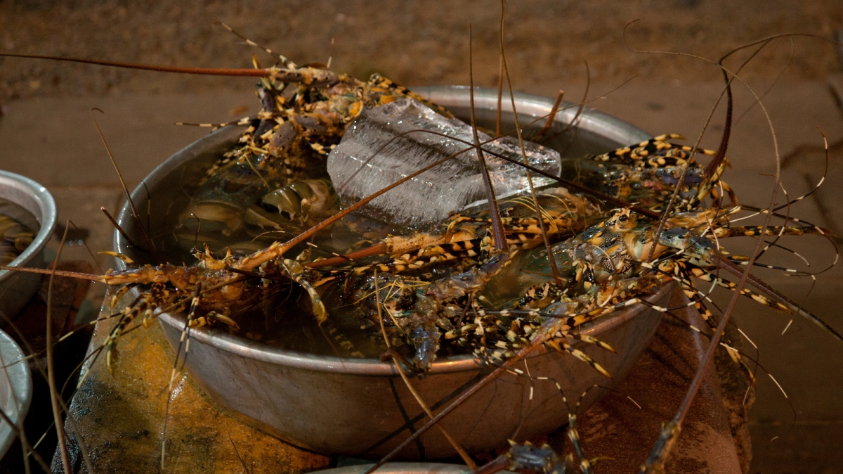 Фото: Eric Borda, visualhunt.com