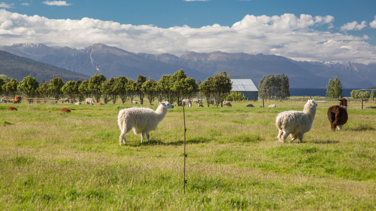 Фото нашей Странницы Татьяны Руновой
