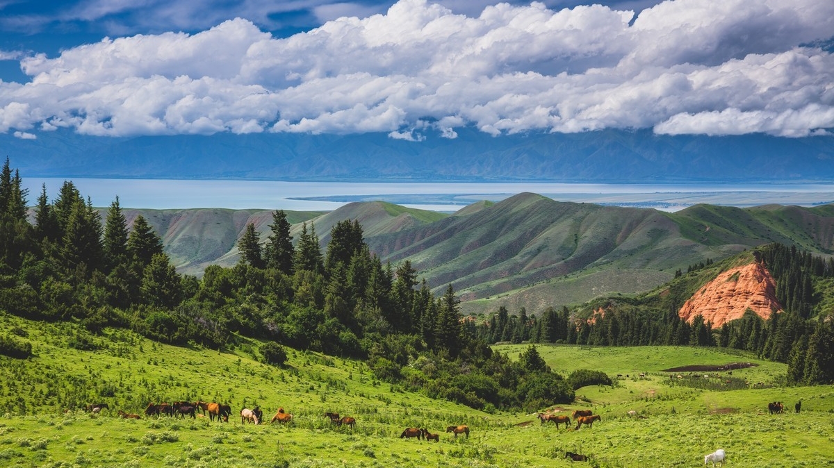 Фото: Самарин  Михаил