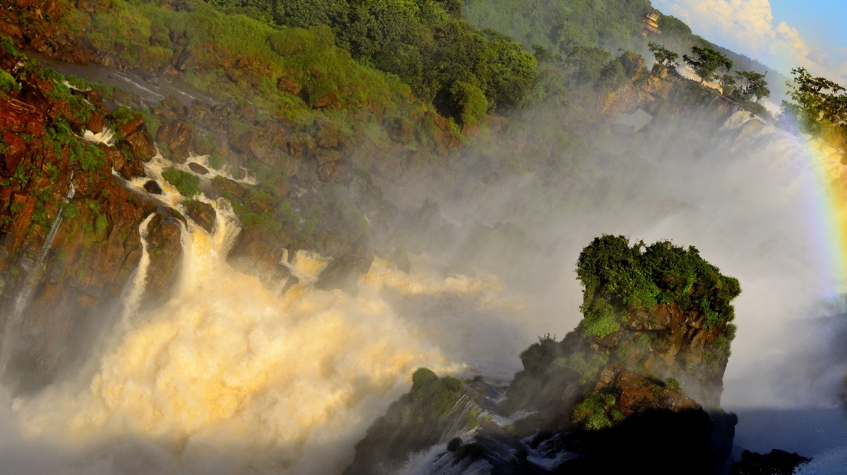 Источник фото:  Papa Pic on Visual hunt