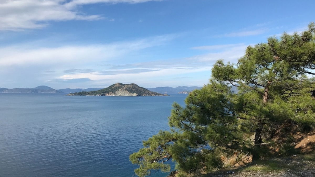 Фото: Elo Dncr, unsplash.com