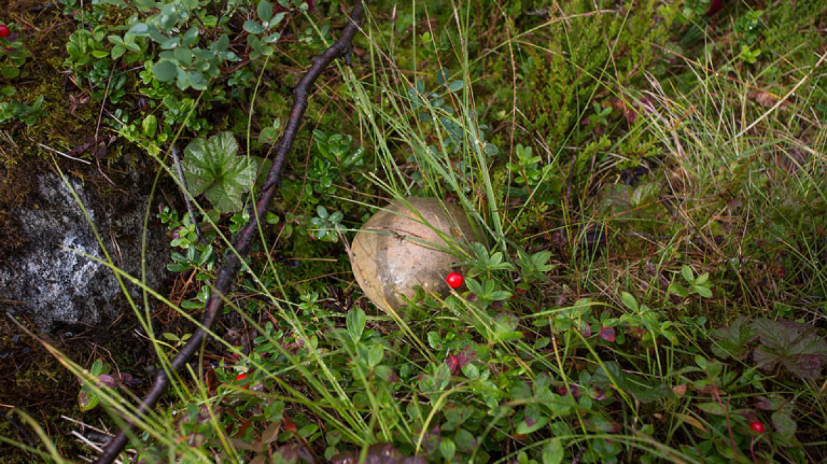 Фото нашей Странницы Татьяны Руновой