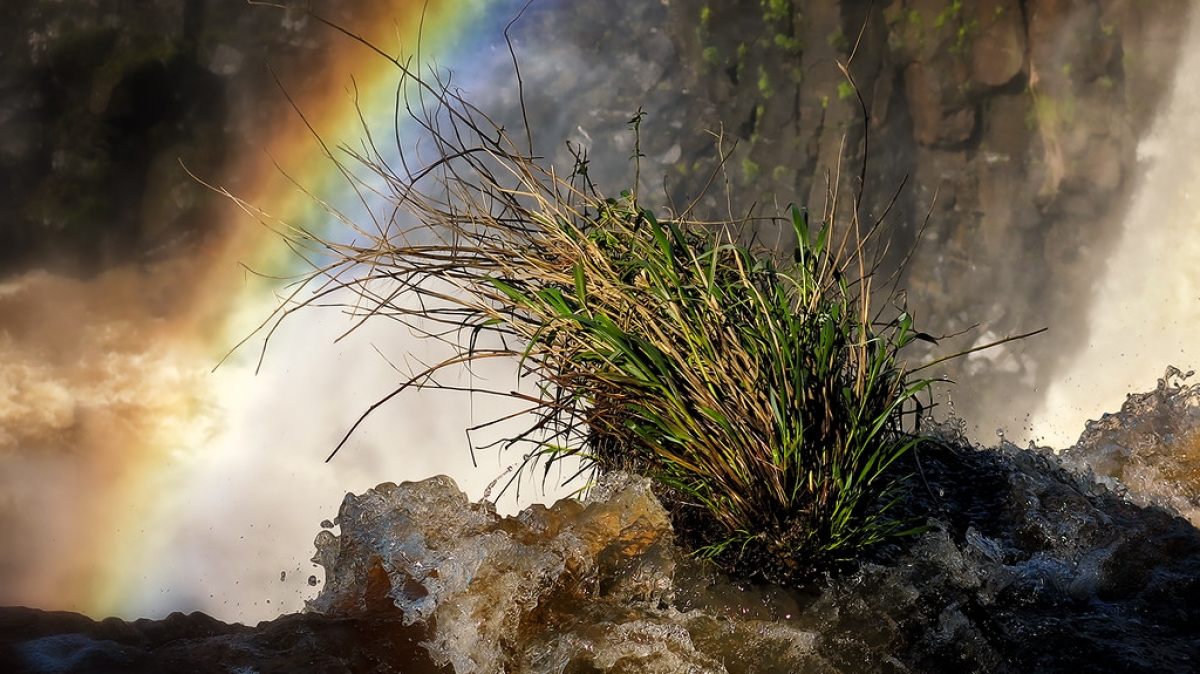 Источник фото: Tanozzo on VisualHunt.com