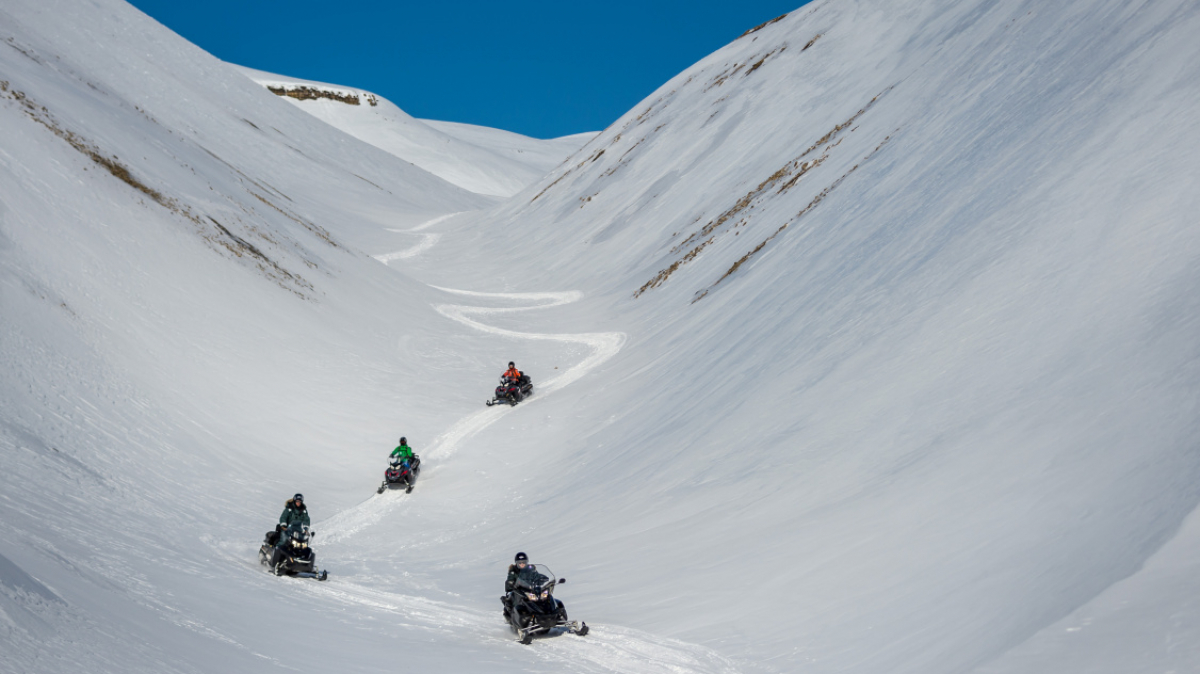 Фото: Сергей Доля