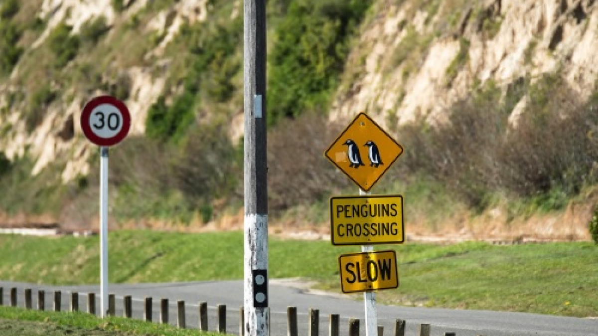 Фото: Casey Horner, unsplash.com