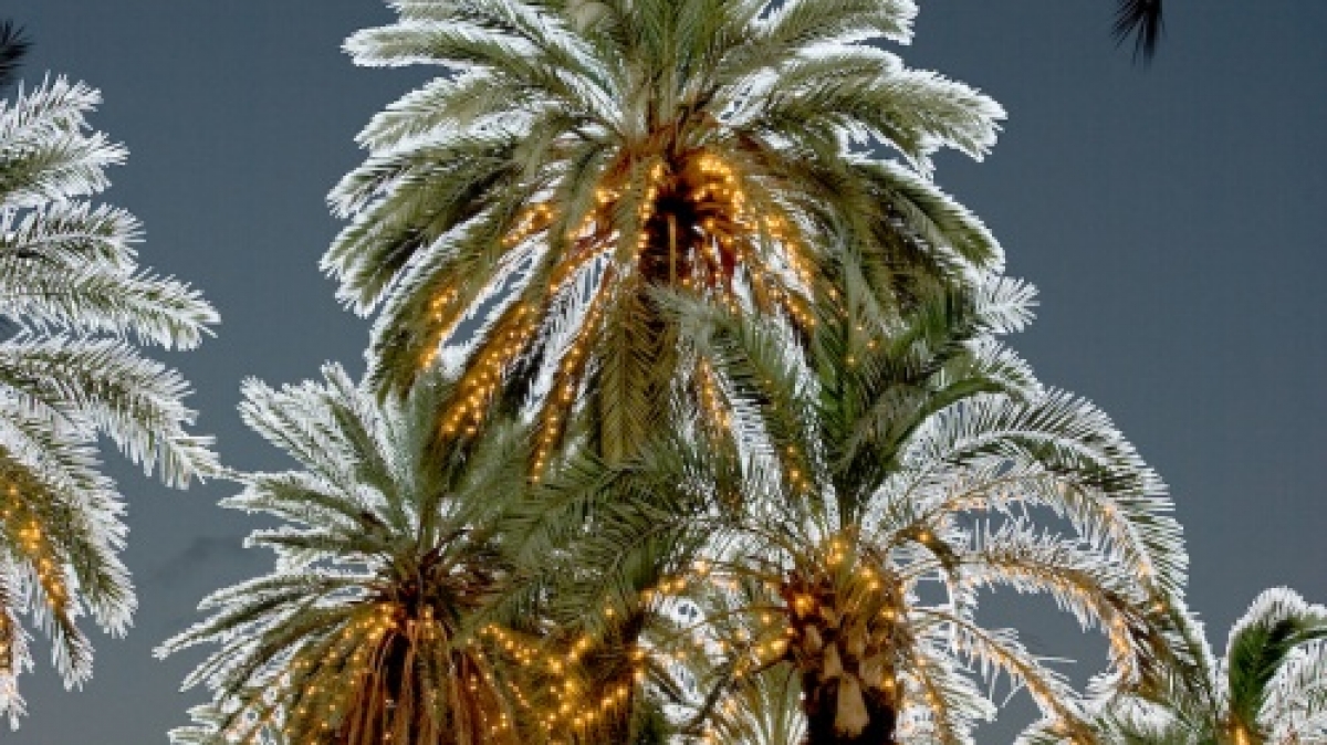 Фото: Carlo Columba, visualhunt.com