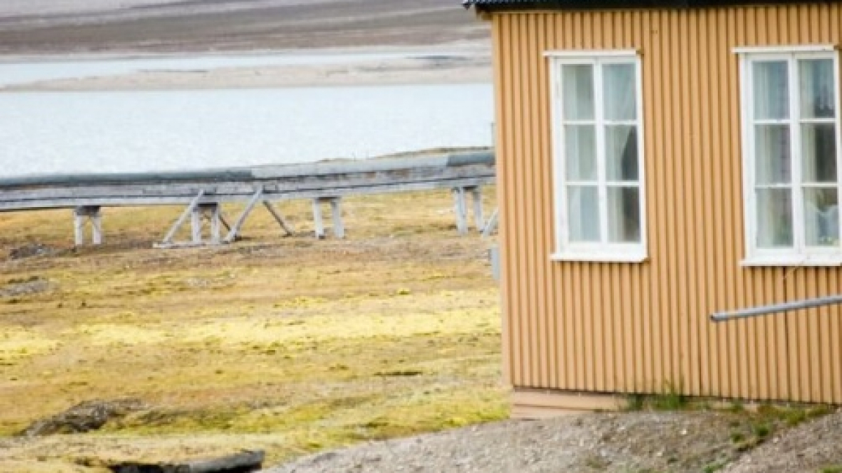 Фото: Rerun van Pelt, visualhunt.com