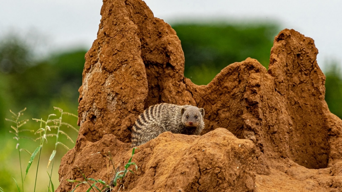 Фото: Ninara31, visualhunt.com