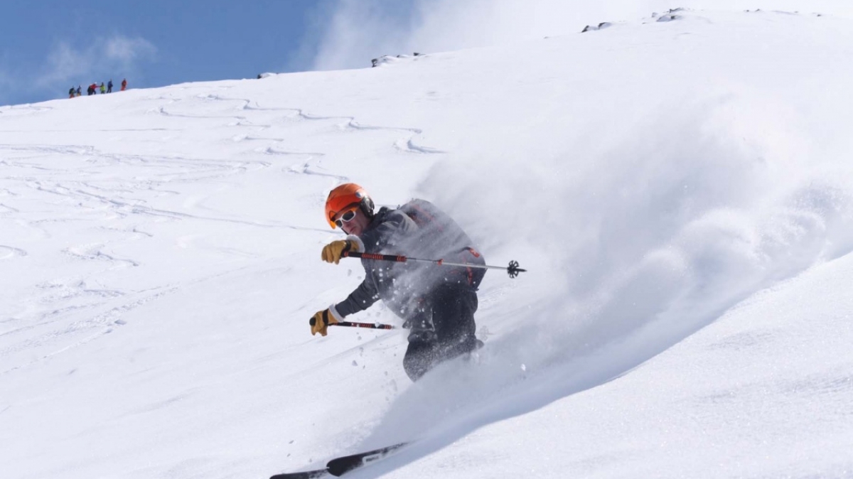 Фото: Christian ter Maat, unsplash.com