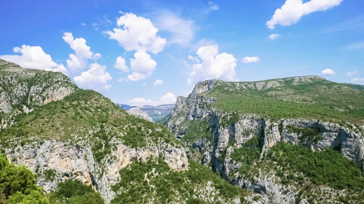 Фото: Jeremy Zero, unsplash.com