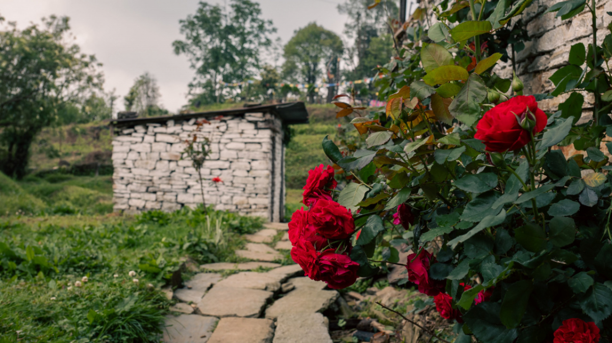 Фото нашего Странника Станислава Дышева