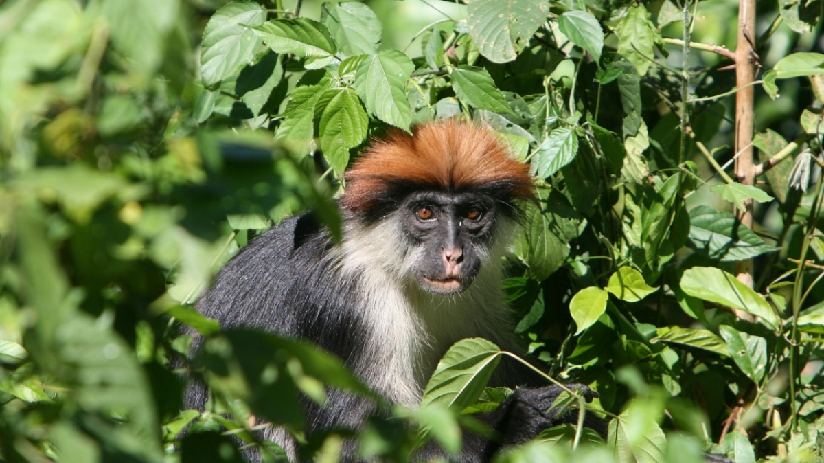 Фото: Marc Veraarta, visualhunt.com