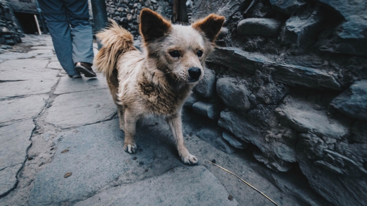 Фото Даниила Калинцева