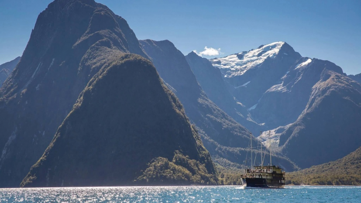 Фото наших партнеров JustGo ThereNZ