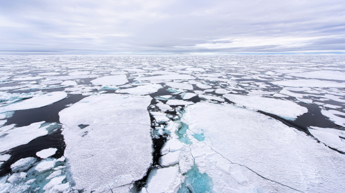 Фото: Christopher.Michel, visualhunt.com