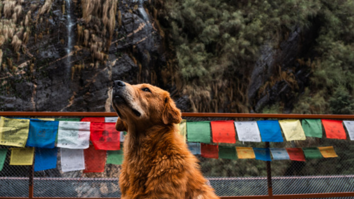 Фото нашего Странника Станислава Дышева