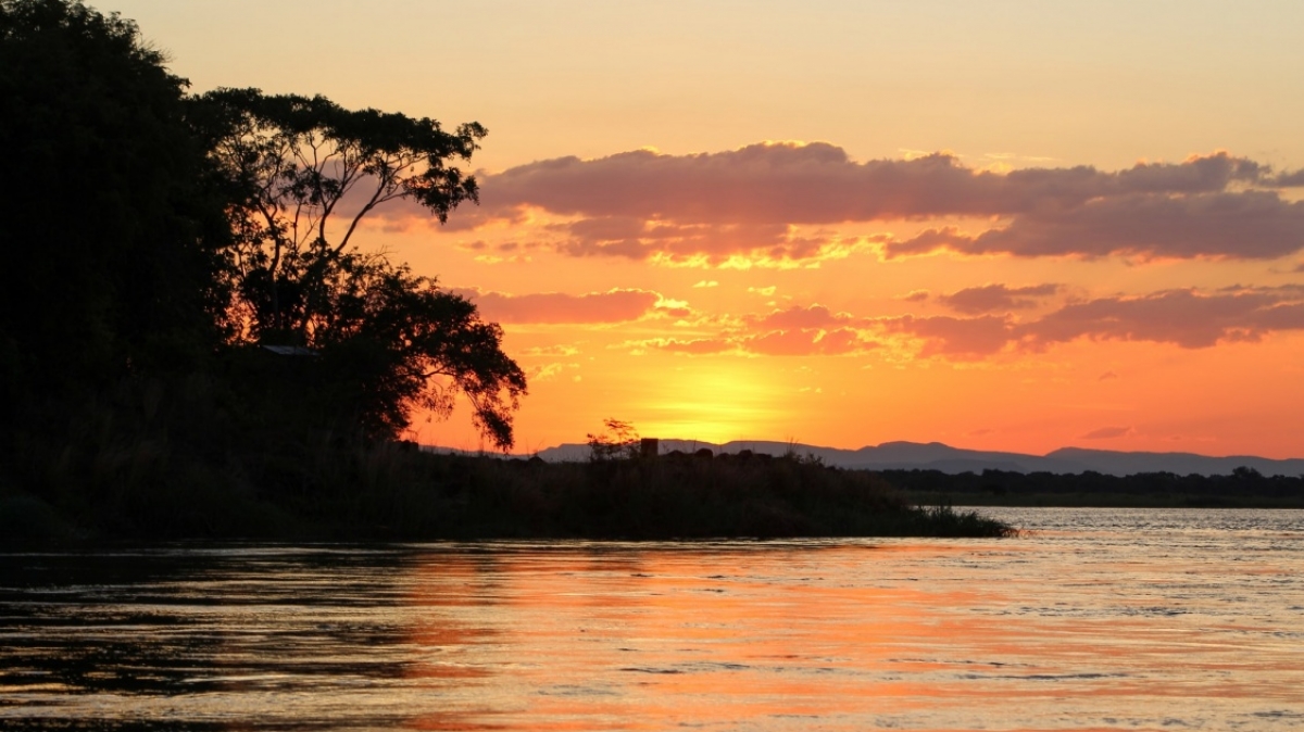 Фото: Sean Peter, unsplash.com