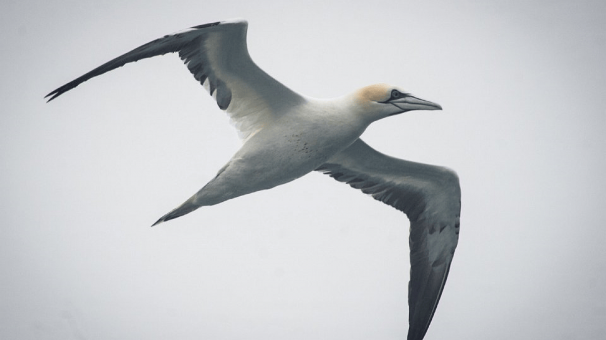 Фото из архива Клуба