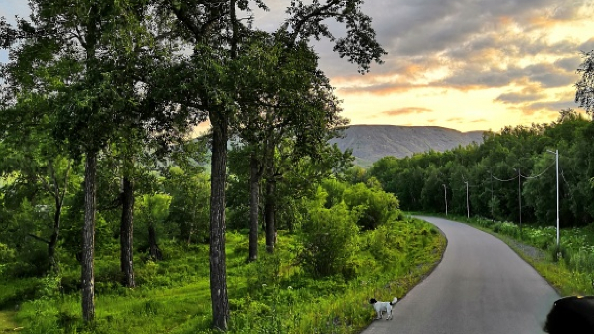 Фото нашей Странницы Татьяны Парцей
